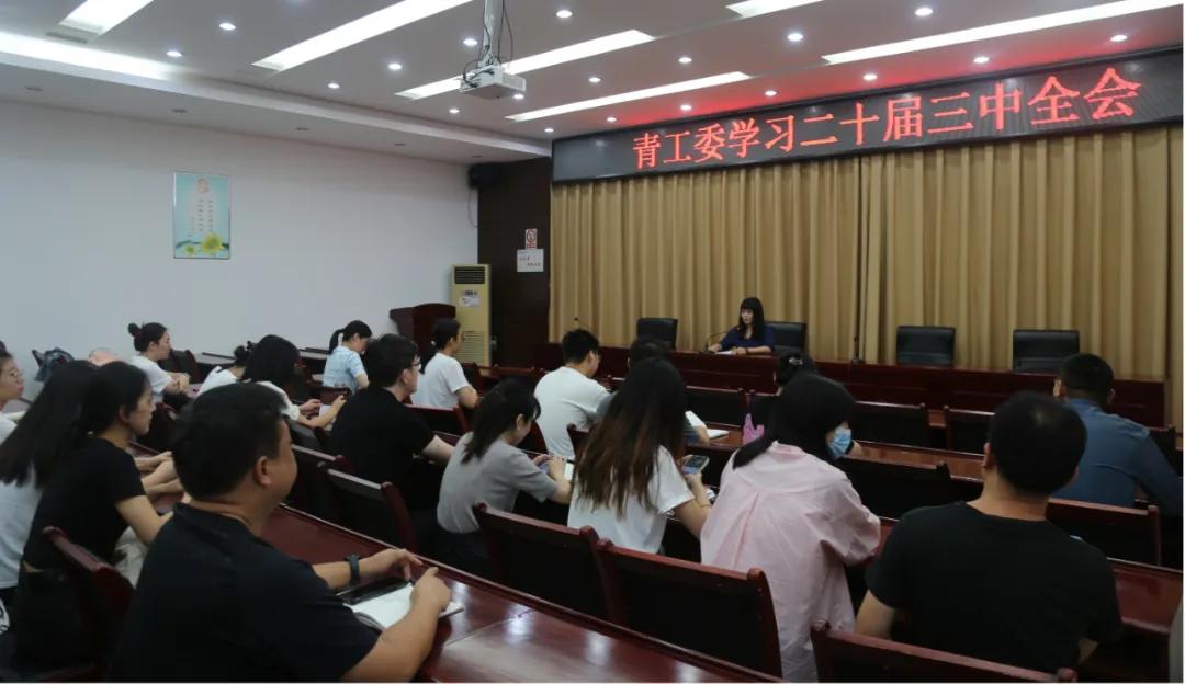 【学习贯彻党的二十届三中全会精神】驻马店市直单位深入学习贯彻党的二十届三中全会精神（二十）